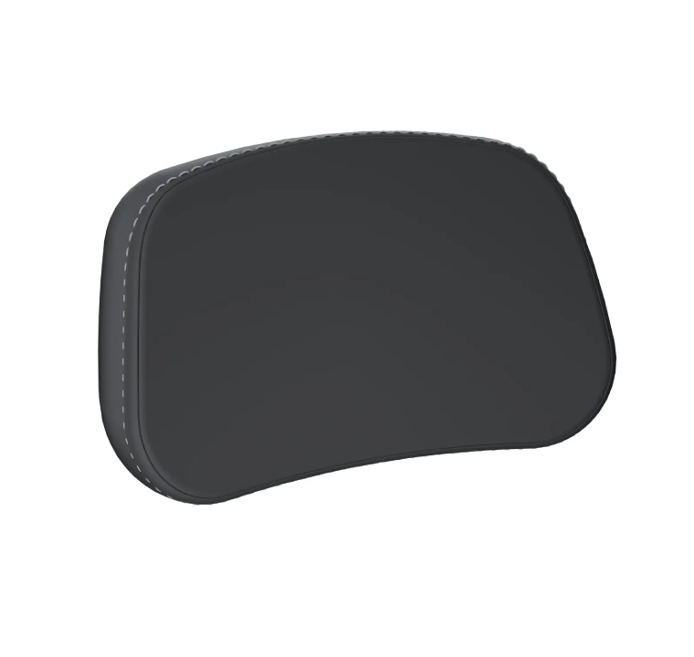 PASSENGER TOURING BACKREST PAD